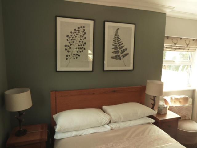 Twin Oaks Guest House Cadnam ภายนอก รูปภาพ